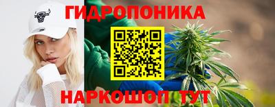 молекула духа Будённовск