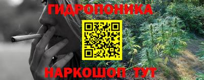 молекула духа Будённовск