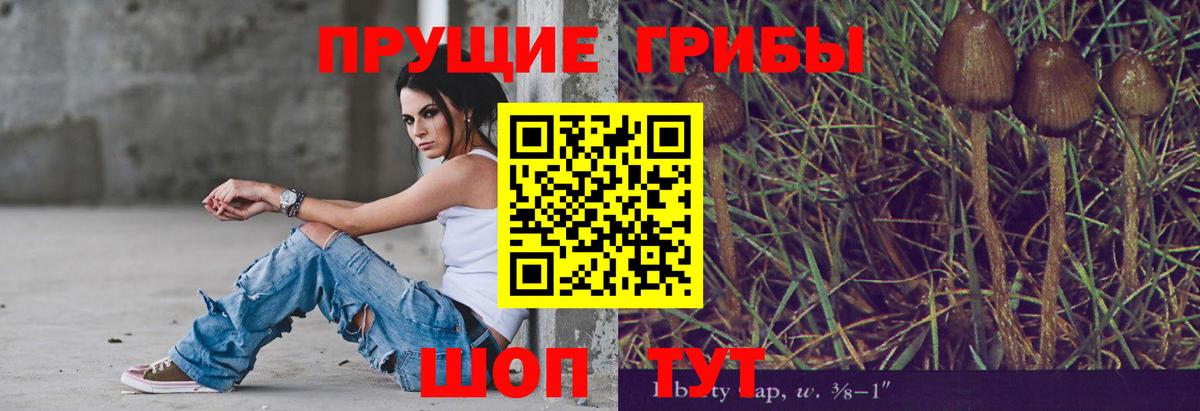 Михайловск  Псилоцибиновые грибы Psilocybine cubensis  Вход с VPN 